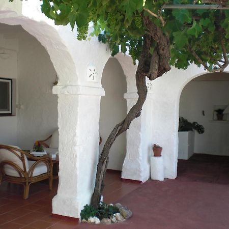 Agroturisme Binisaid Nou Cala Galdana  Dış mekan fotoğraf
