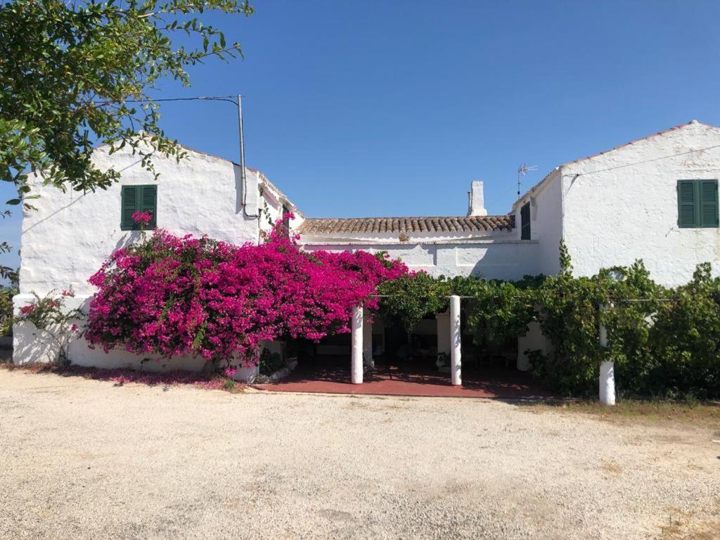 Agroturisme Binisaid Nou Cala Galdana  Dış mekan fotoğraf